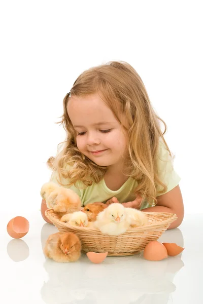 Kleines Mädchen beobachtet ihre kleinen Hühnerbabys — Stockfoto