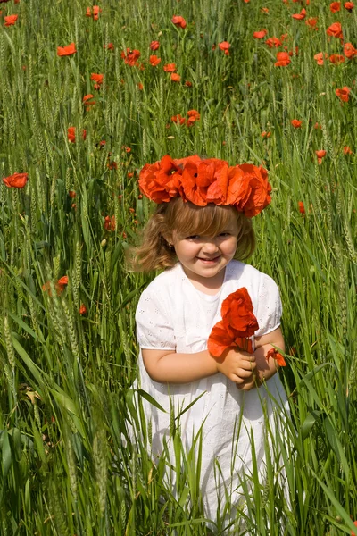 Kleines Mädchen auf Weizenfeld mit Mohn — Stockfoto