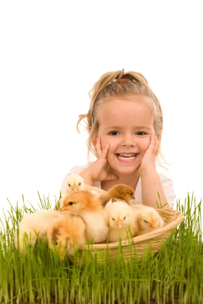 stock image Little girl with a basket full of small chickens