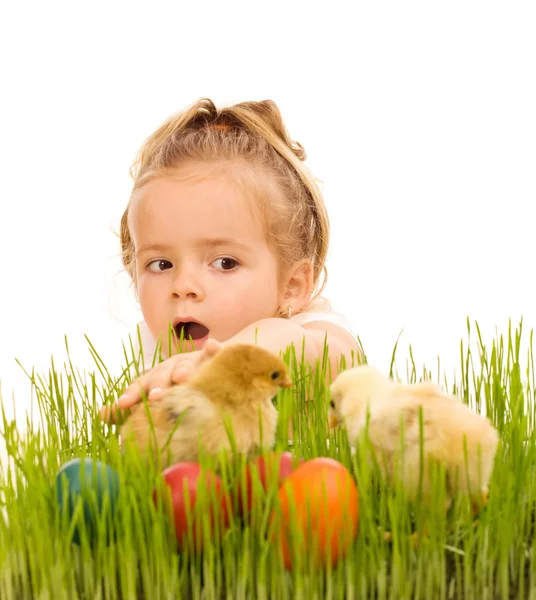 Little girl catching the easter chickens in the grass — Stock Photo, Image