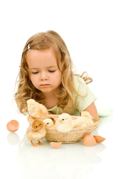 Kleines Mädchen mit kleinen flauschigen Hühnern — Stockfoto