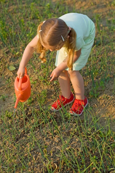 Pěstování potravin - holčička zálivku sazenic cibule — Stock fotografie