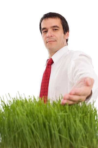 Green business concept — Stock Photo, Image