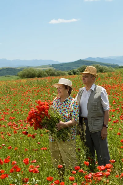 Felice coppia di anziani raccogliendo fiori — Foto Stock