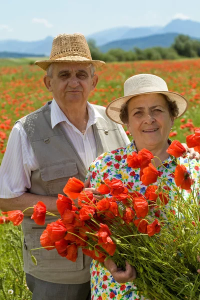 Senior couple enjoying summer — Stock Photo, Image