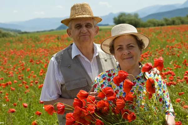 Senior couple on the poppy field enjoying summer — Stock Photo, Image