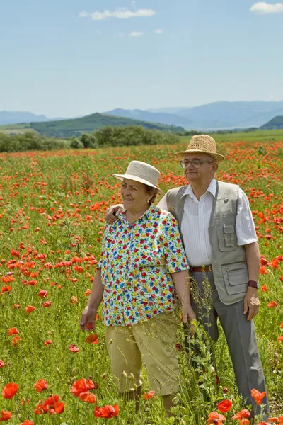 Senior couple on poppy field in early summer — Stock Photo, Image