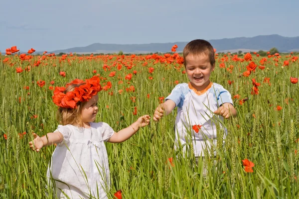 Kids on poppy field — Stock Photo, Image