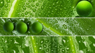 Waterdrops yaprak doku - afiş
