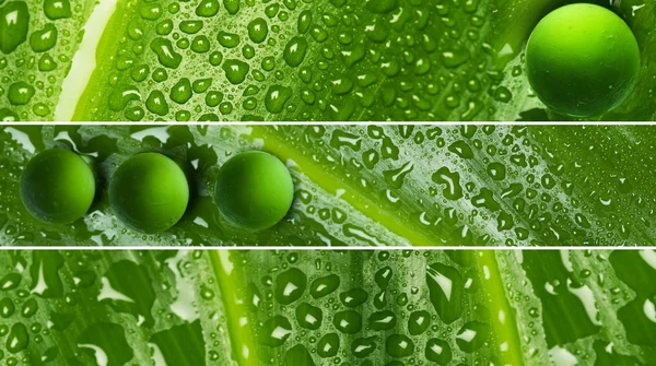 Gocce d'acqua sulla texture delle foglie - striscioni — Foto Stock