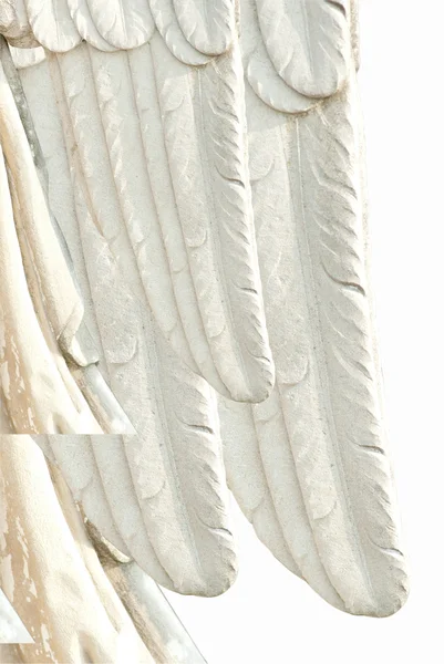 Φτερό αγγέλου — Φωτογραφία Αρχείου