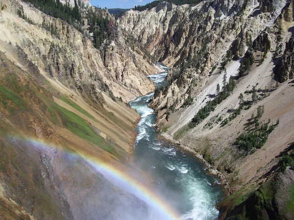 Cañón de Yellowstone — Foto de Stock