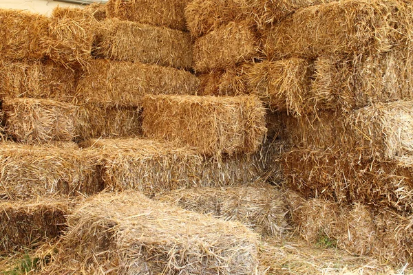 Lado interno de un granero —  Fotos de Stock