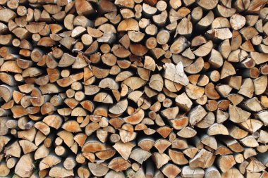 Firewood clipart