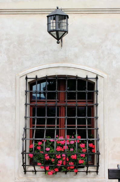 Középkori ablak virágokkal — Stock Fotó