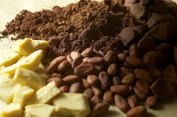 Materia prima de chocolate — Foto de Stock