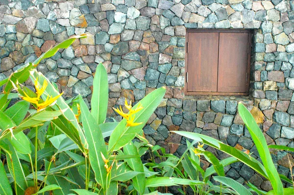 Tuğla duvar ve bitkiler — Stok fotoğraf