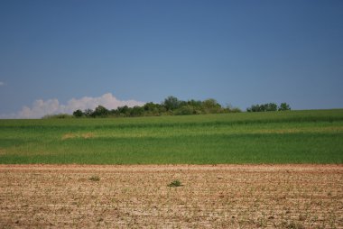 kırsal alan - asti - Torino - İtalya