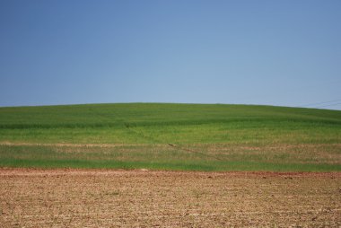 kırsal alan - asti - Torino - İtalya