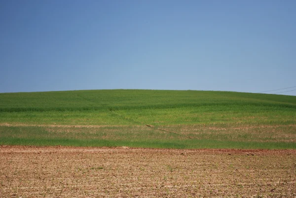 kırsal alan - asti - Torino - İtalya