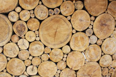 Stacked Logs Background clipart