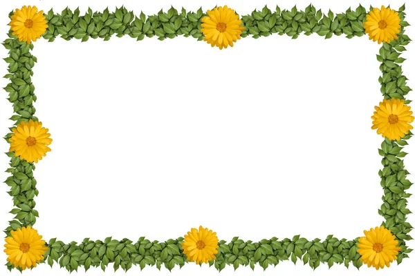 Grüner Pflanzrahmen mit Blumen — Stockfoto