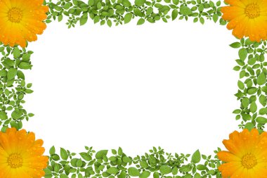 Green plant frame with flowers clipart