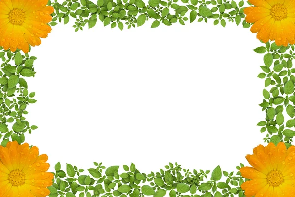 Зеленая растительная рама с цветами — стоковое фото