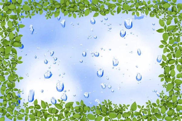 Water drops and plant frame — Stock Photo, Image