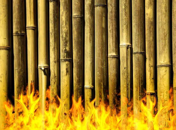 Bamboo background on fire — Stock Photo, Image