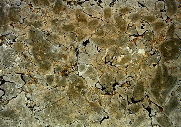 Gray cracked stone background — Stock Photo, Image