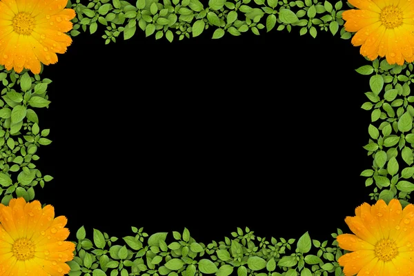 Green plant frame with yellow flowers — Stock Photo, Image