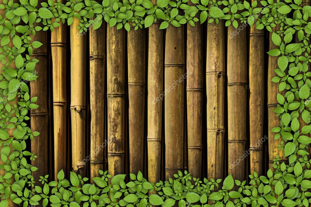 Bamboo background with plant border — Stock Photo © wasja 6682560