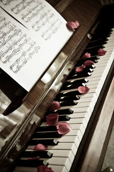 Piano y pétalos — Foto de Stock