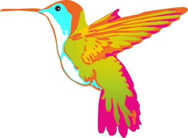 Colibri clipart