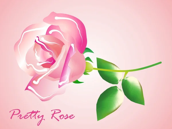 Hübsche Rose — Stockvektor