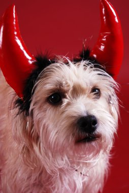 Devilish dog clipart