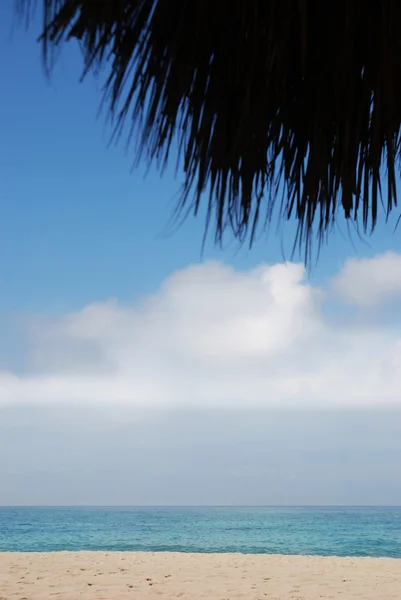 海滩伞下 — 图库照片