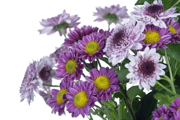 DETAIL OF BUNCH OF FLOWERS — Stock Photo, Image