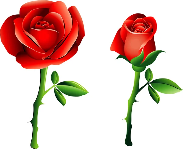 Rosas rojas — Archivo Imágenes Vectoriales
