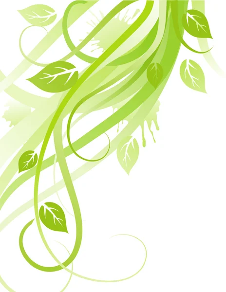 Зеленые листья — стоковый вектор