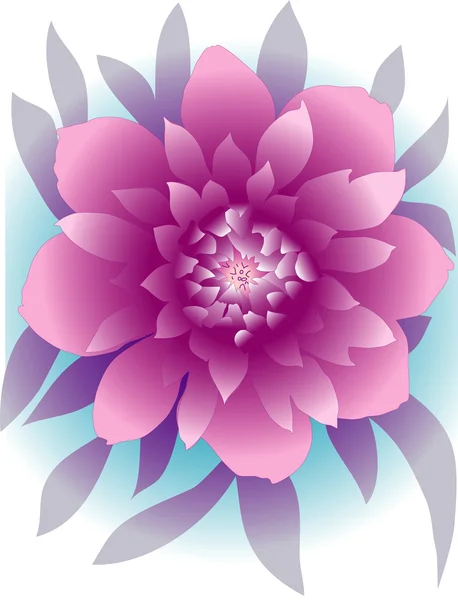 粉色牡丹 — 图库矢量图片
