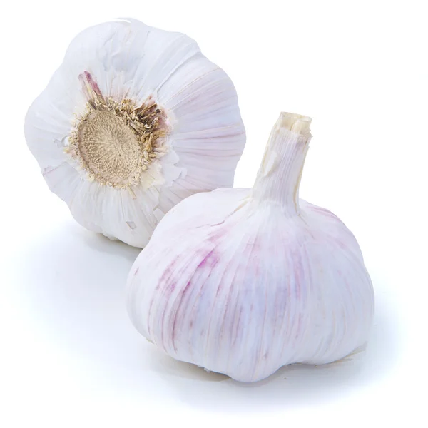 Two garlic isolated — Stock Photo, Image
