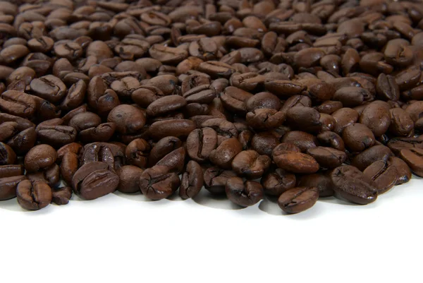 Coffee beans stripe — Stock Photo, Image
