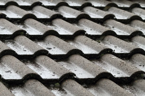 stock image Roof & construction