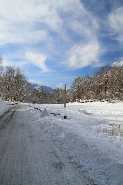 道路・雪 — ストック写真