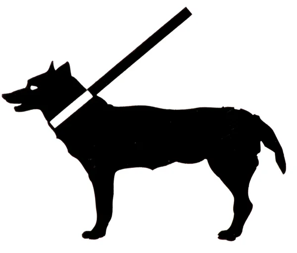 stock image Dog figure