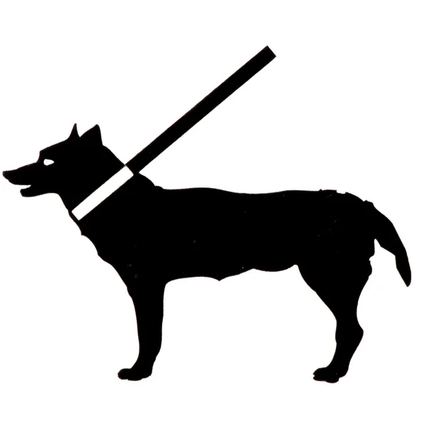 stock image Dog figure