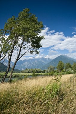 Pian di Spagna oasis