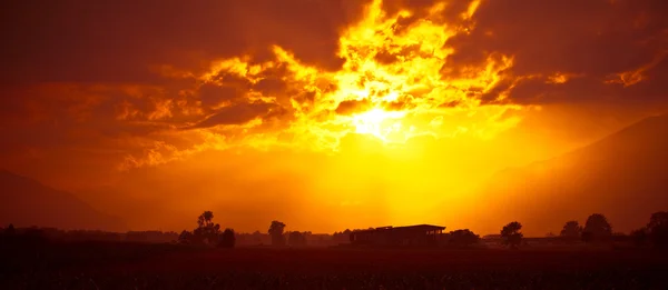 Zonsondergang velden — Stockfoto